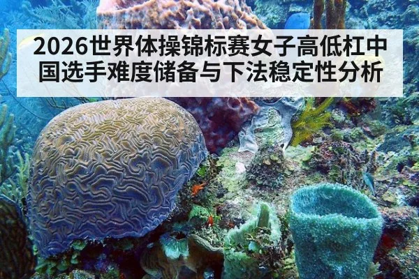 2026世界体操锦标赛女子高低杠中国选手难度储备与下法稳定性分析
