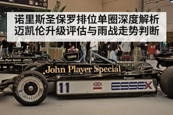 诺里斯圣保罗排位单圈深度解析 迈凯伦升级评估与雨战走势判断